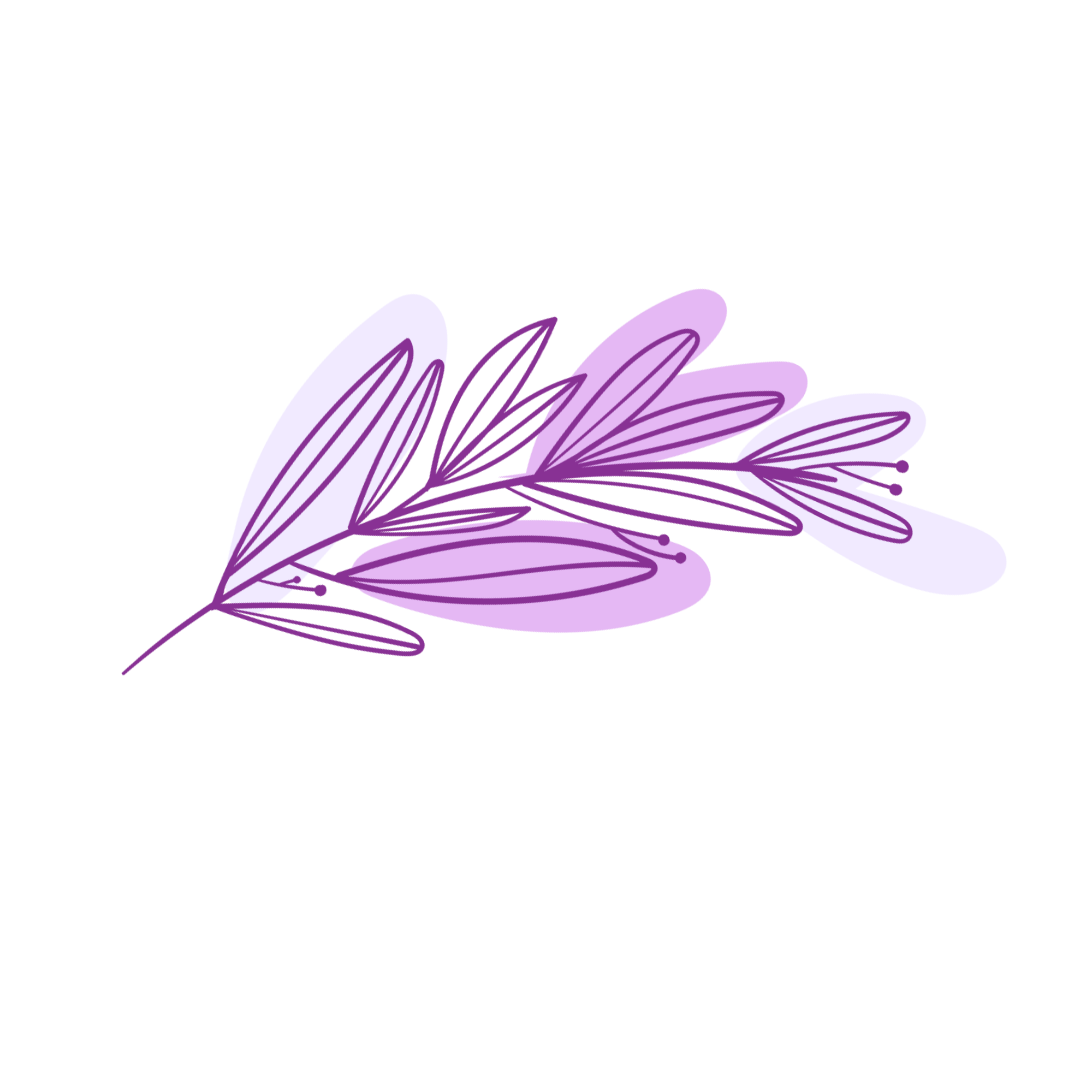 about-image